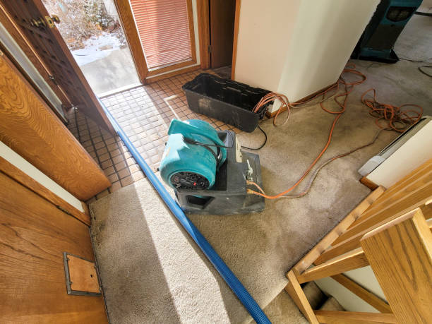 Best 24/7 water damage repair  in Erma, NJ