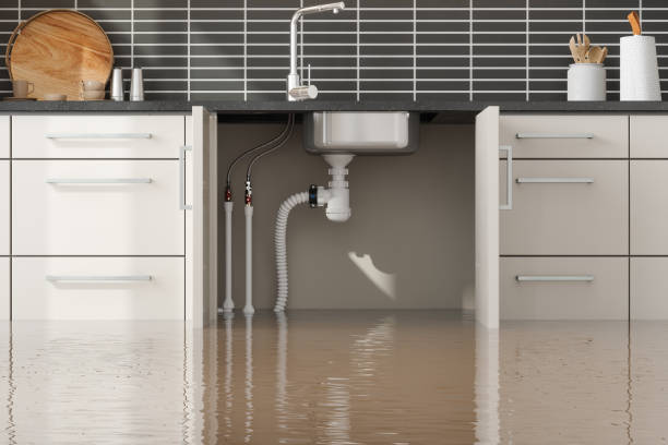 Best 24-hour water damage restoration  in Erma, NJ