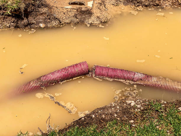 Best 24-hour water damage restoration  in Erma, NJ