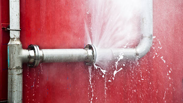 Best Water damage restoration process  in Erma, NJ